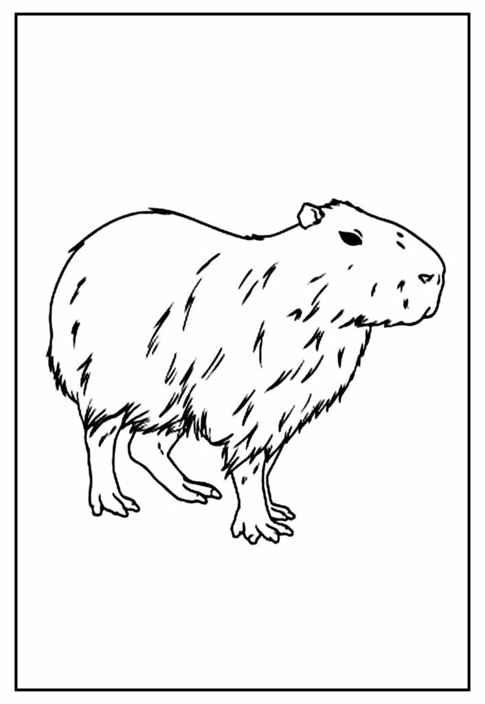 Desenhos de Capivara para Colorir e Imprimir