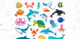 animais marinhos para colorir
