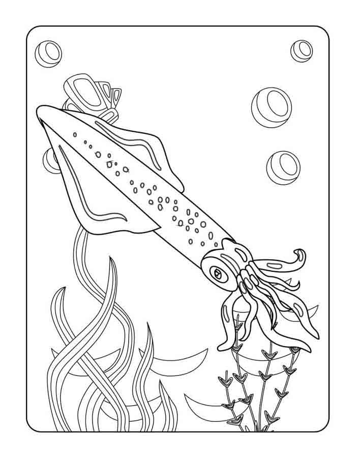 animal marinho 132