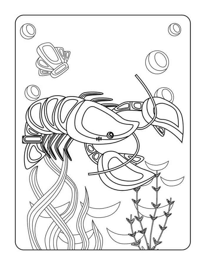 animal marinho 142