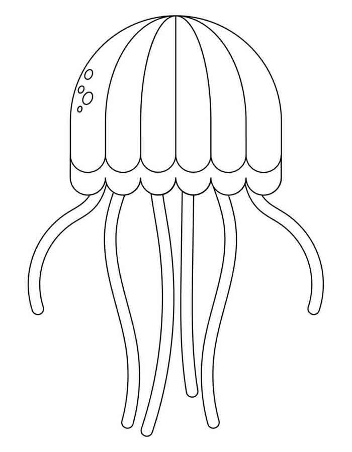 animal marinho 49