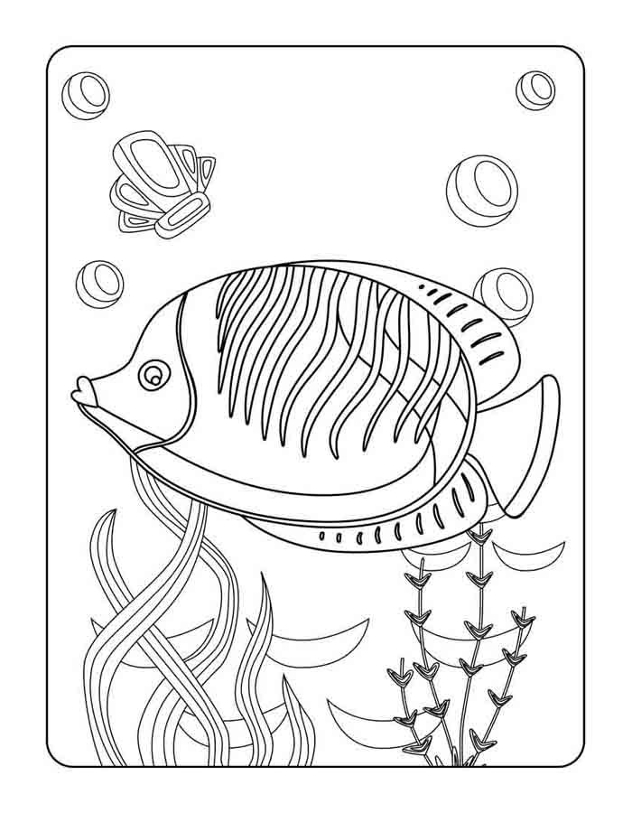 animal marinho 5