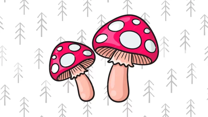 cogumelos para colorir