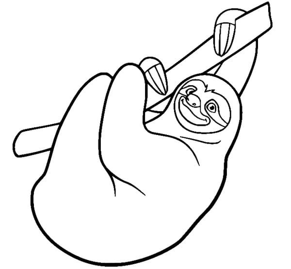 desenho de bicho preguica gratis para colorir