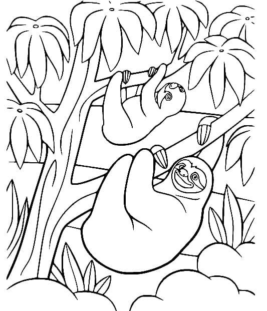 desenho de bicho preguica na floresta para colorir