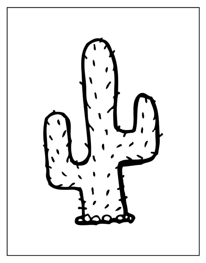 desenho de cacto para colorir 15
