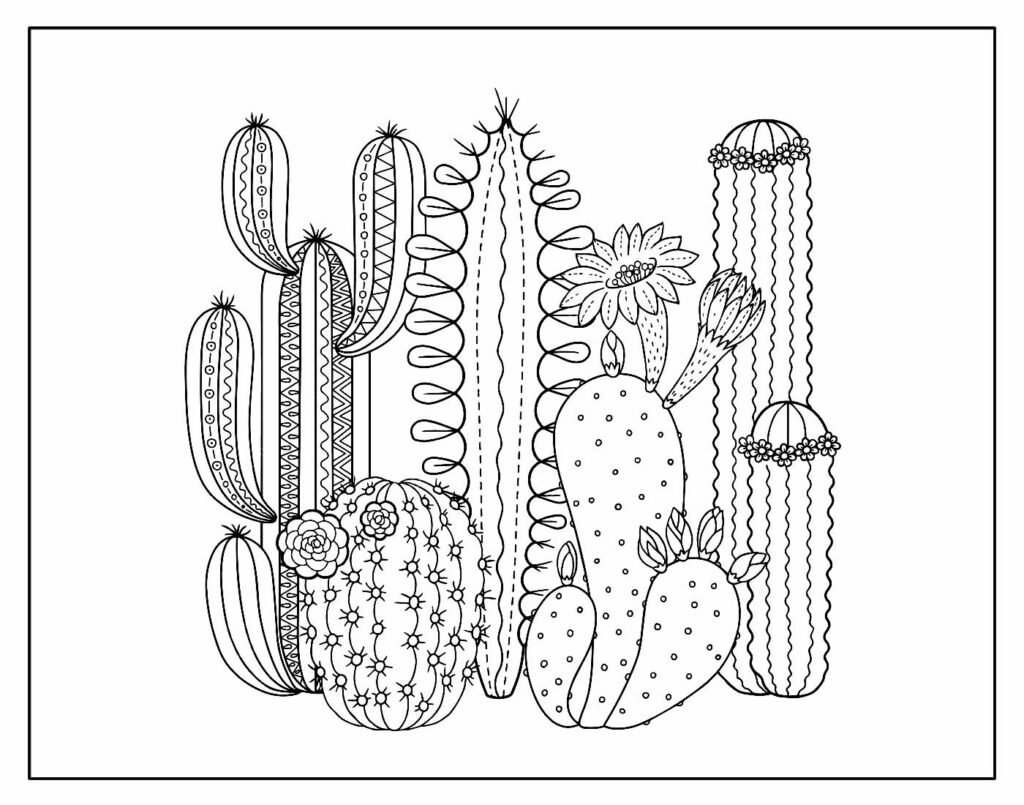 desenho de cacto para colorir 31