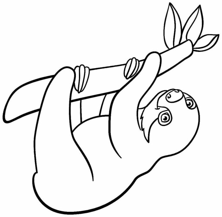Desenhos de Bicho-Preguiça para Colorir e Imprimir - Aprender a Desenhar