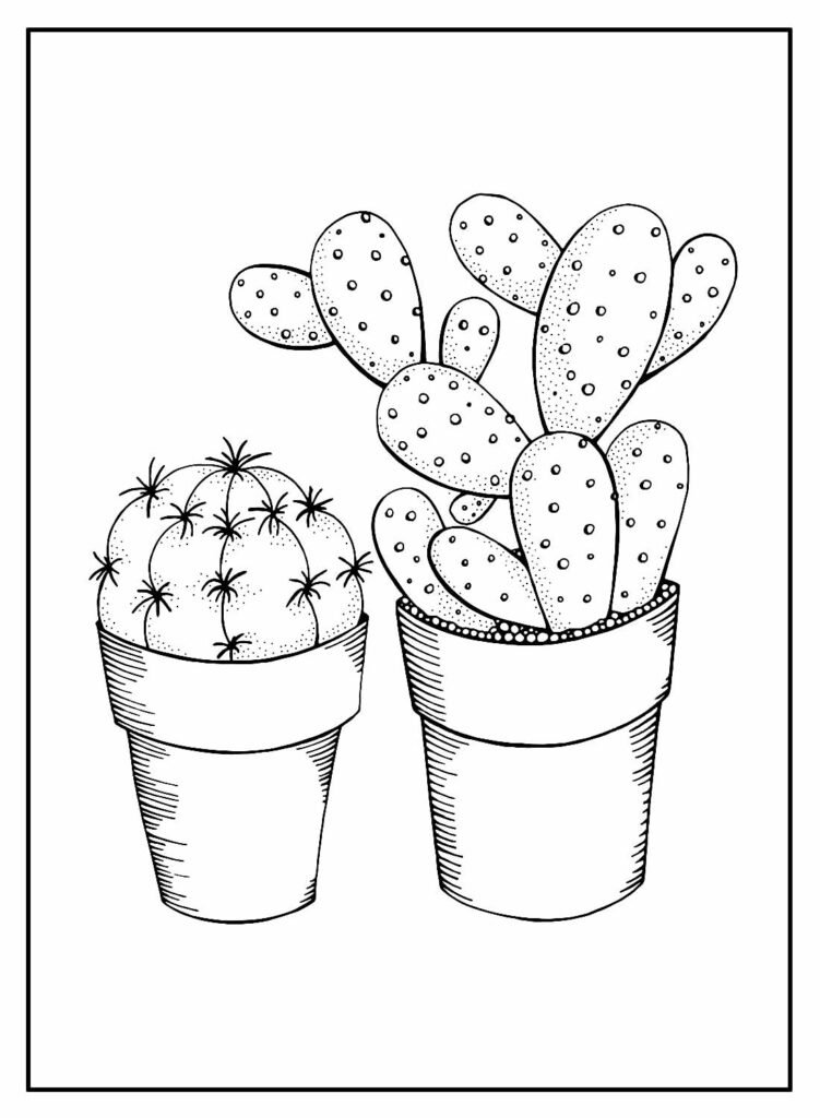 desenhos de cactos 4