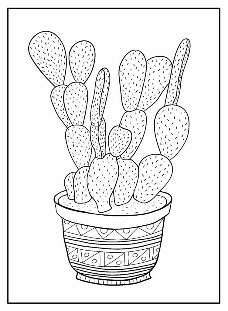 desenhos de cactos 5