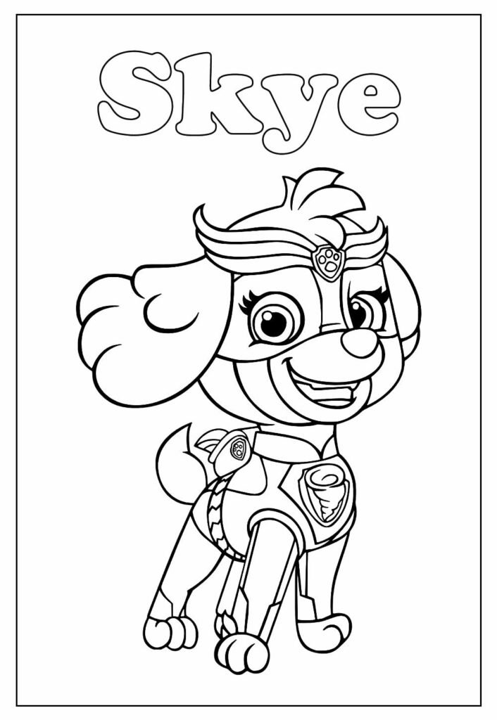 desenho da skye para colorir 16