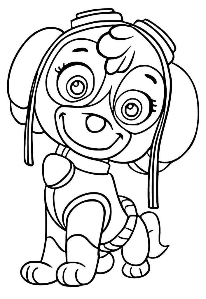 desenho da skye para colorir 18