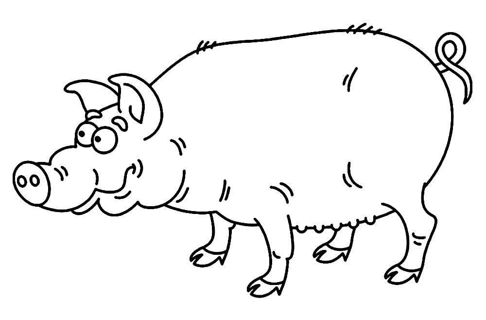 desenho de porco para colorir 3