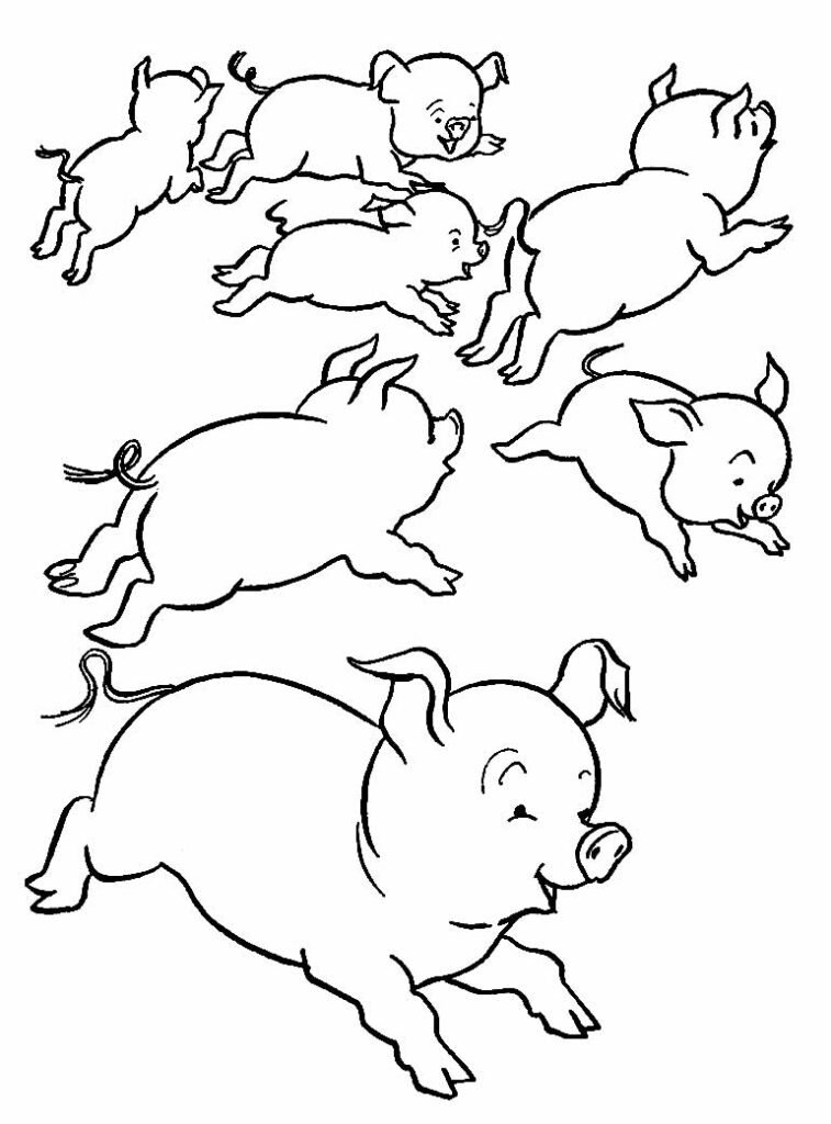 desenho de porquinhos para pintar 12