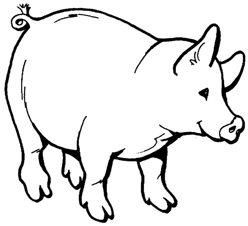 desenhos de porquinhos para colorir 1