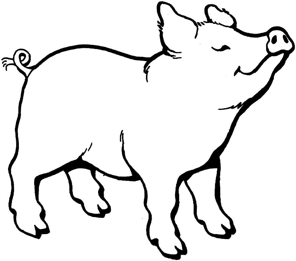 desenhos de porquinhos para colorir 4