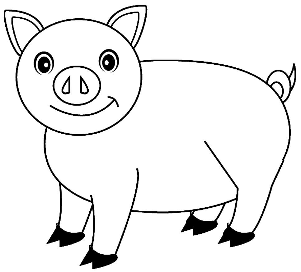 desenhos de porquinhos para colorir 6