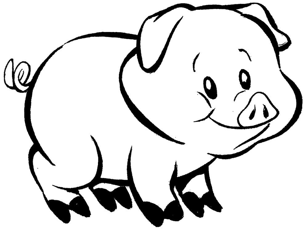 desenhos de porquinhos para colorir 7